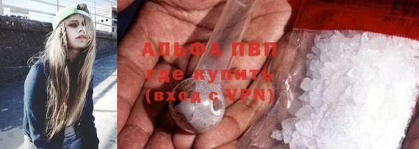прущий лед Бородино