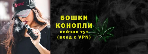 прущий лед Бородино