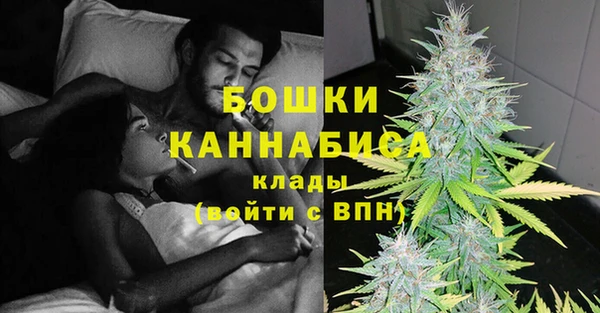 прущий лед Бородино