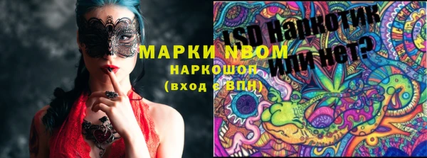 прущий лед Бородино